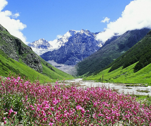 valley of flower